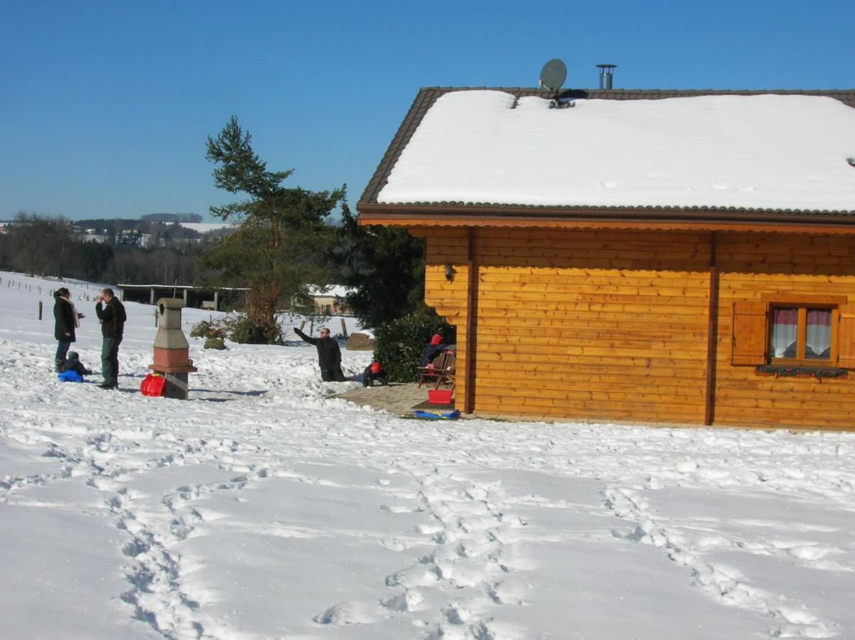 Chalet Les Ecureuils Saint-Nabord Ngoại thất bức ảnh