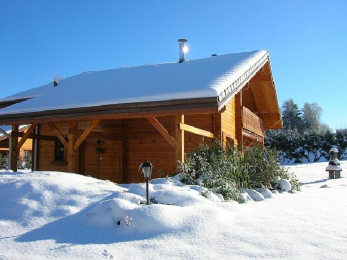 Chalet Les Ecureuils Saint-Nabord Ngoại thất bức ảnh